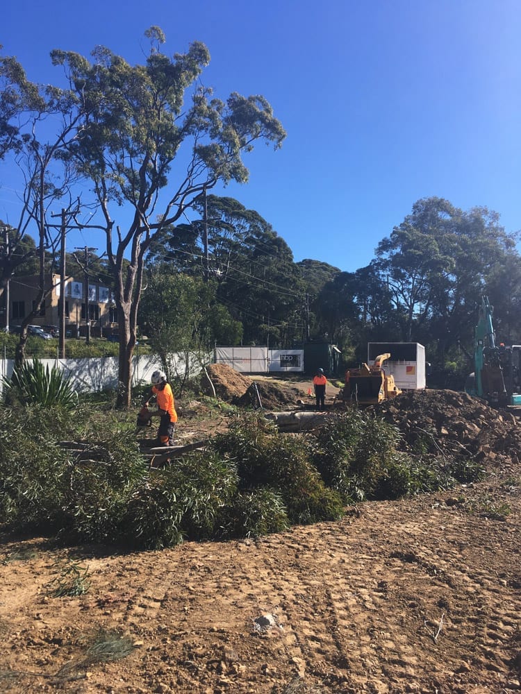 Land clearing at Helensburgh